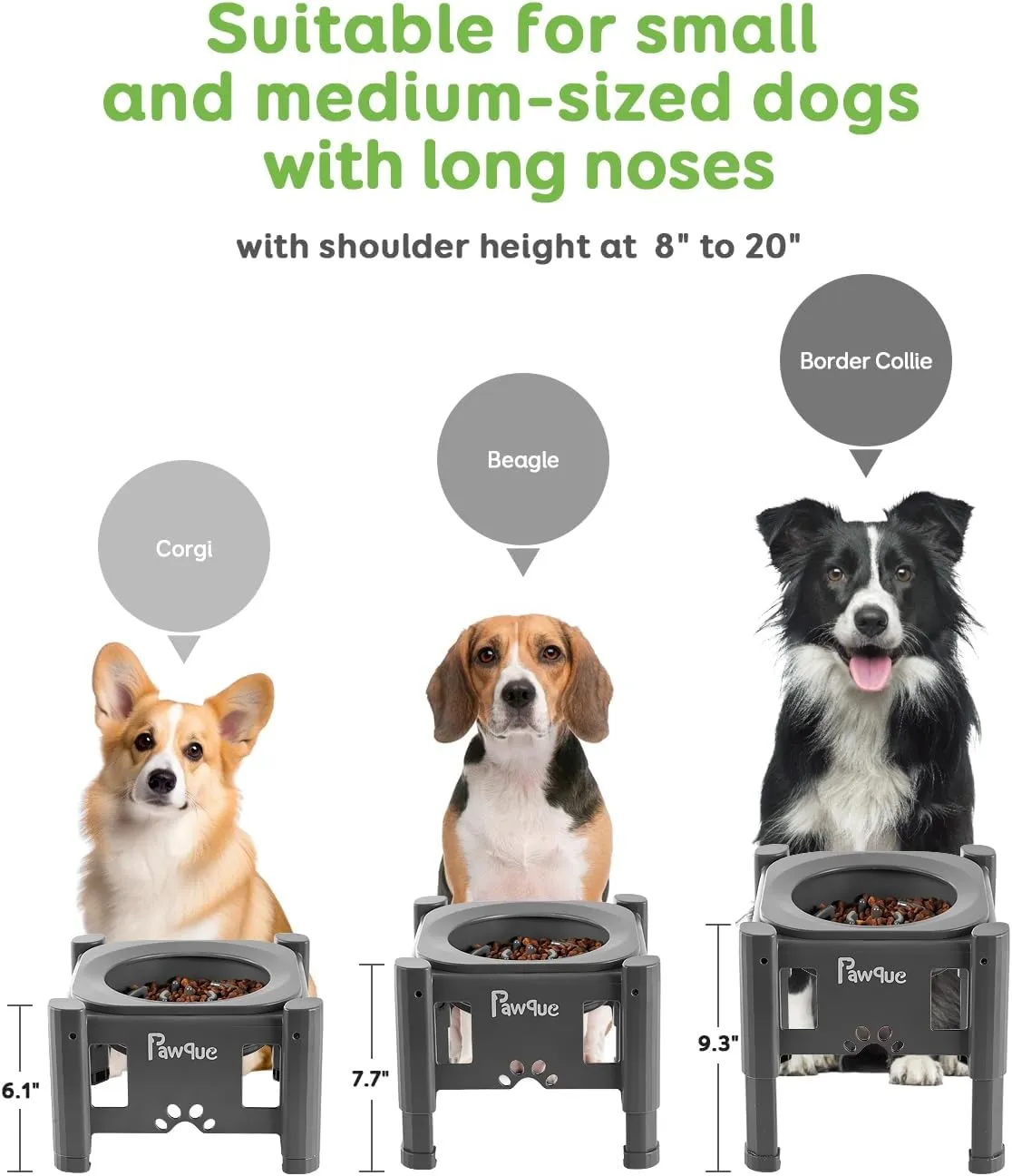 Pawque 35oz Elevated Slow Feeder Dog Food Bowls with Adjustable Stand (3 Heights 6.1", 7.7", 9.3"), Raised Dog Bowls for Medium and Small Breed Dogs Cats, Non Slip Rubber & Mess Proof