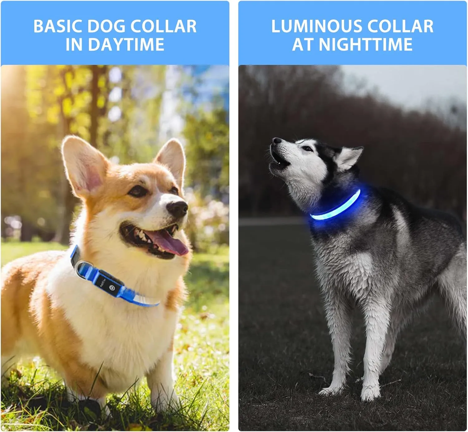 PcEoTllar Light up Dog Collar for Night Walking - LED Dog Collar Light Rechargeable Color Changing, Glow in The Dark Dog Collars Waterproof Glowing Dog Collars for Large Small Medium Dogs