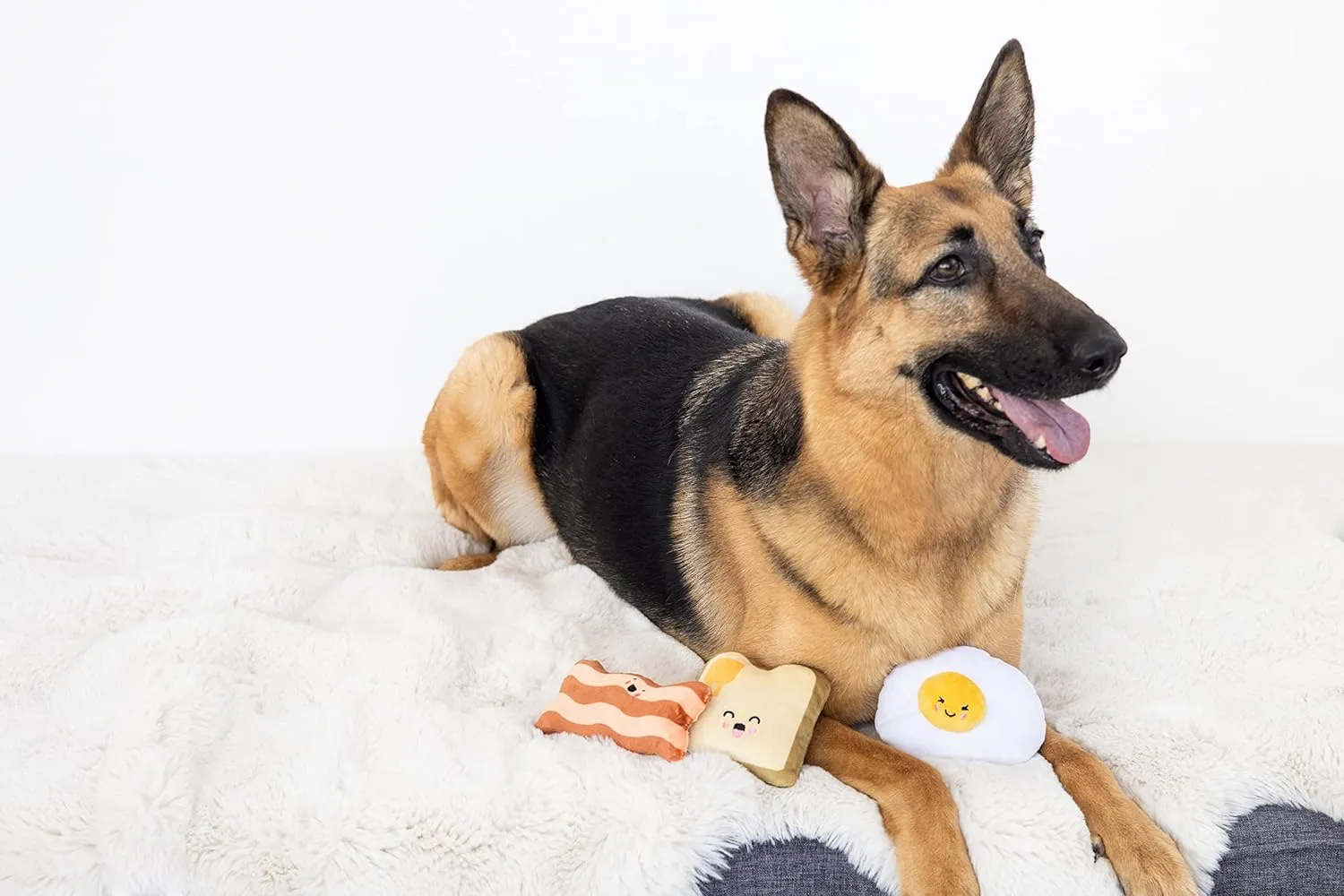 Pearhead Barkfast Dog Toys, Set of 3, Plush Pet Squeaker Toys, Breakfast Dog Toy Set, Toast Bacon & Egg Toy Set, Must Have Pet Accessories for Pet Owners