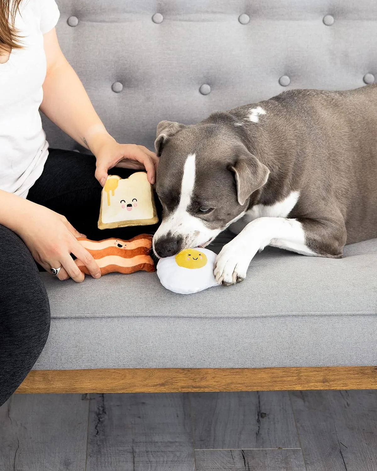 Pearhead Barkfast Dog Toys, Set of 3, Plush Pet Squeaker Toys, Breakfast Dog Toy Set, Toast Bacon & Egg Toy Set, Must Have Pet Accessories for Pet Owners