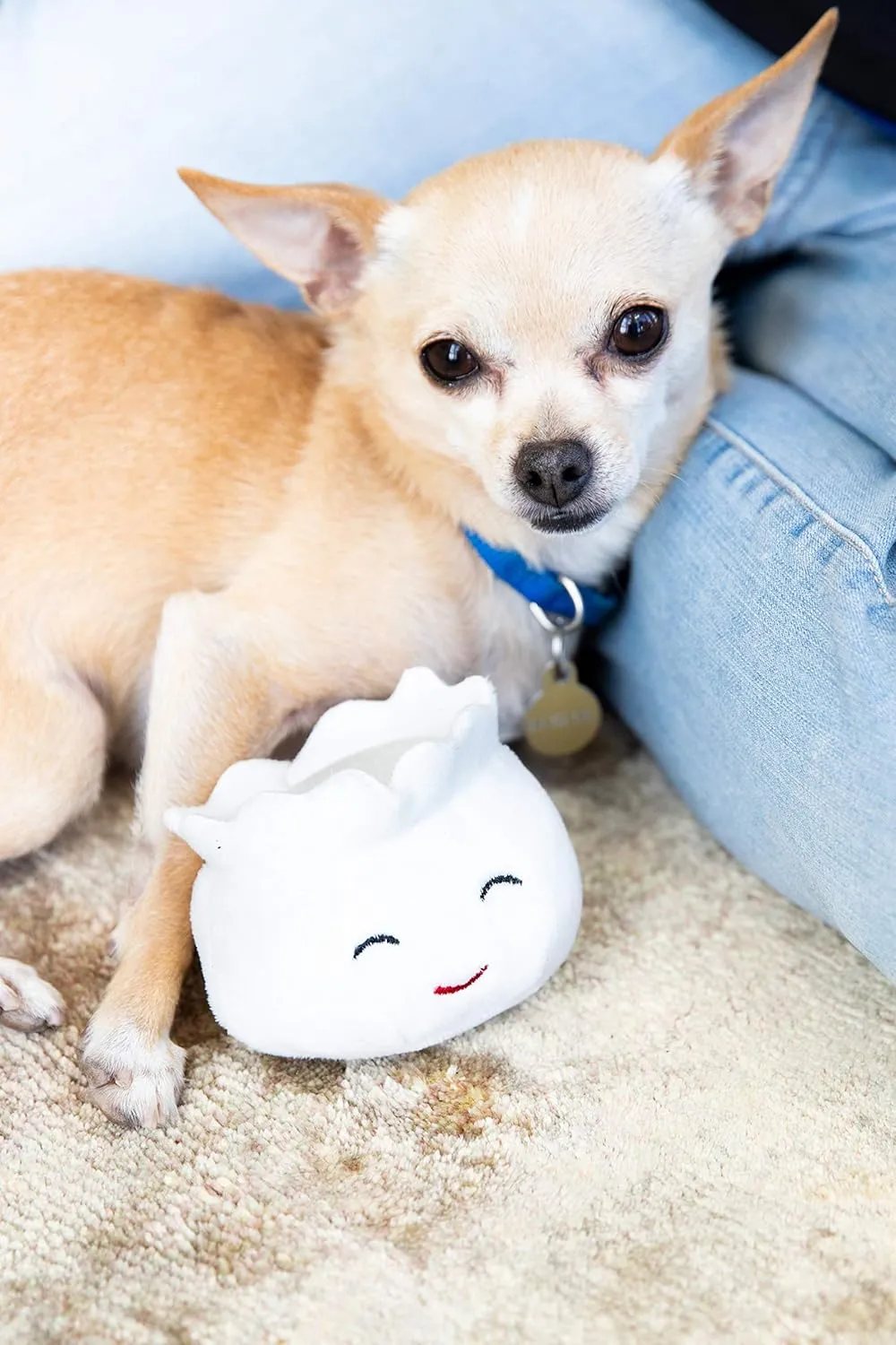 Pearhead Dim Sum Pet Toys, Squeaky Dog Toy Set, Pet Owner Must Have Dog Accessory, Set of 3, All Breed Sizes, White