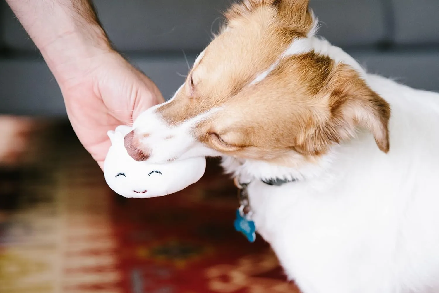 Pearhead Dim Sum Pet Toys, Squeaky Dog Toy Set, Pet Owner Must Have Dog Accessory, Set of 3, All Breed Sizes, White