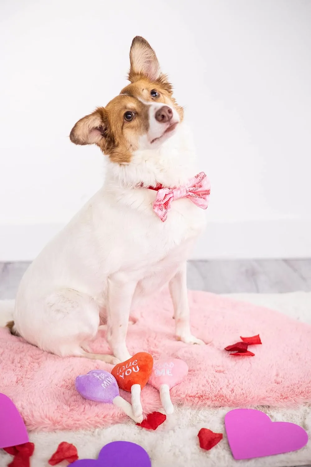 Pearhead Valentine's Day Plush Dog Toy Set - Holiday Pet Squeaky Toys, Pet Owner Gifts, Candy Conversation Hearts - Set of 3