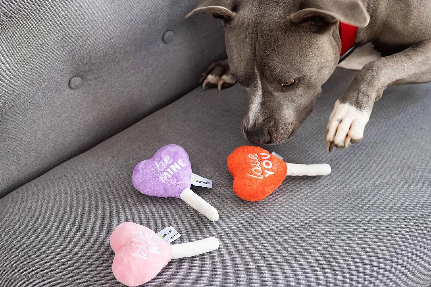 Pearhead Valentine's Day Plush Dog Toy Set - Holiday Pet Squeaky Toys, Pet Owner Gifts, Candy Conversation Hearts - Set of 3