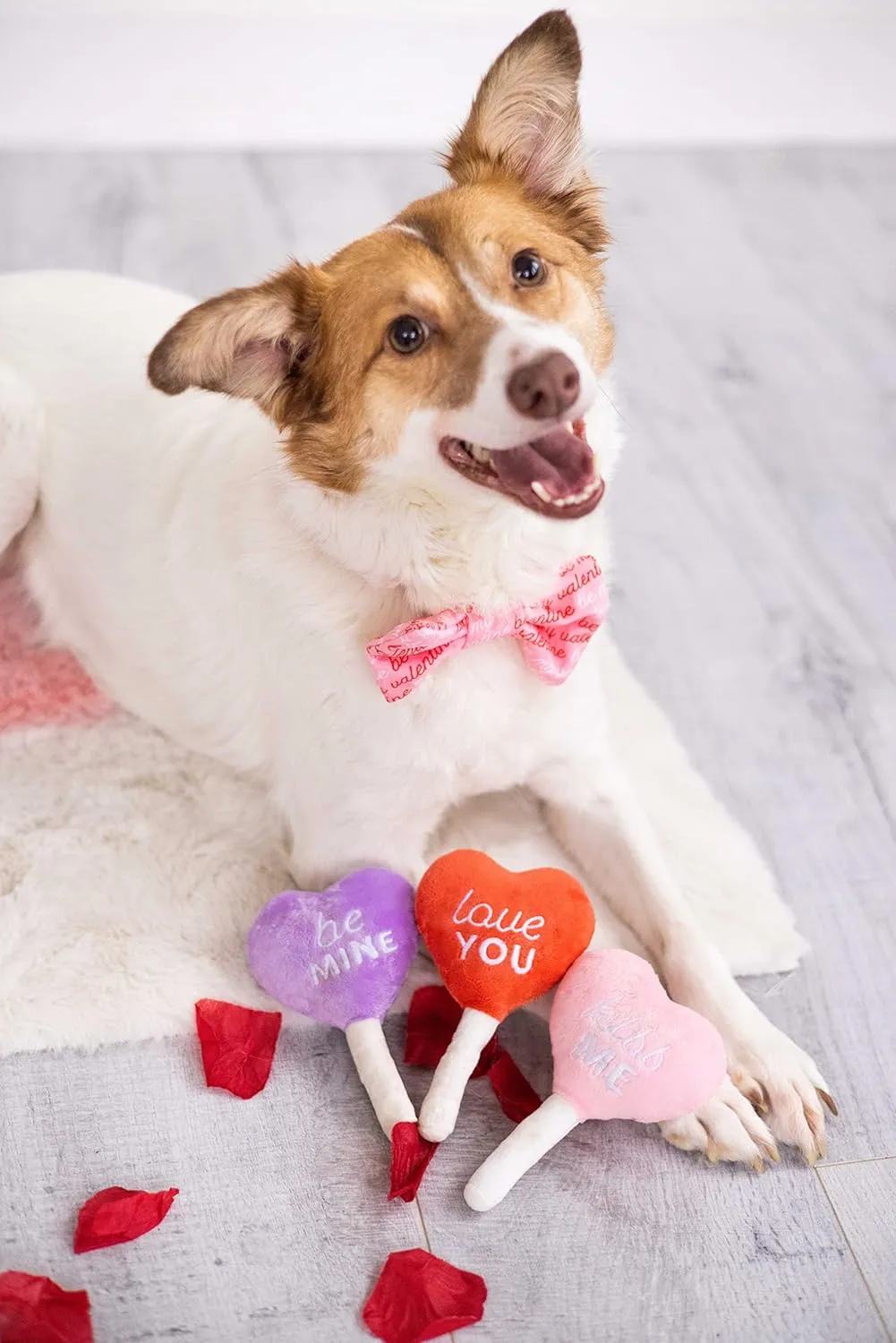 Pearhead Valentine's Day Plush Dog Toy Set - Holiday Pet Squeaky Toys, Pet Owner Gifts, Candy Conversation Hearts - Set of 3