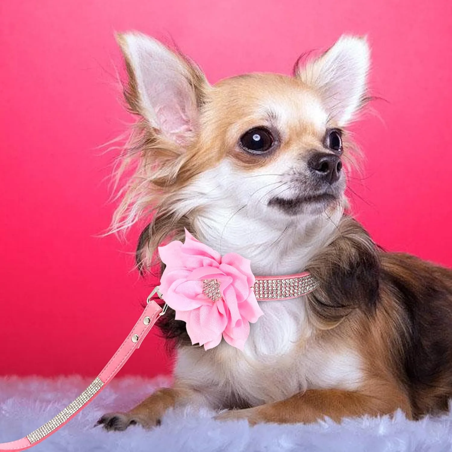PET ARTIST Rhinestone Dog Collar and Leash Set, Sparkling Girl Dog Collars with Bling Diamonds, Soft Leather Pink Pet Collar with Cute Flower for Small Puppy Dogs Walking Party Wedding,S