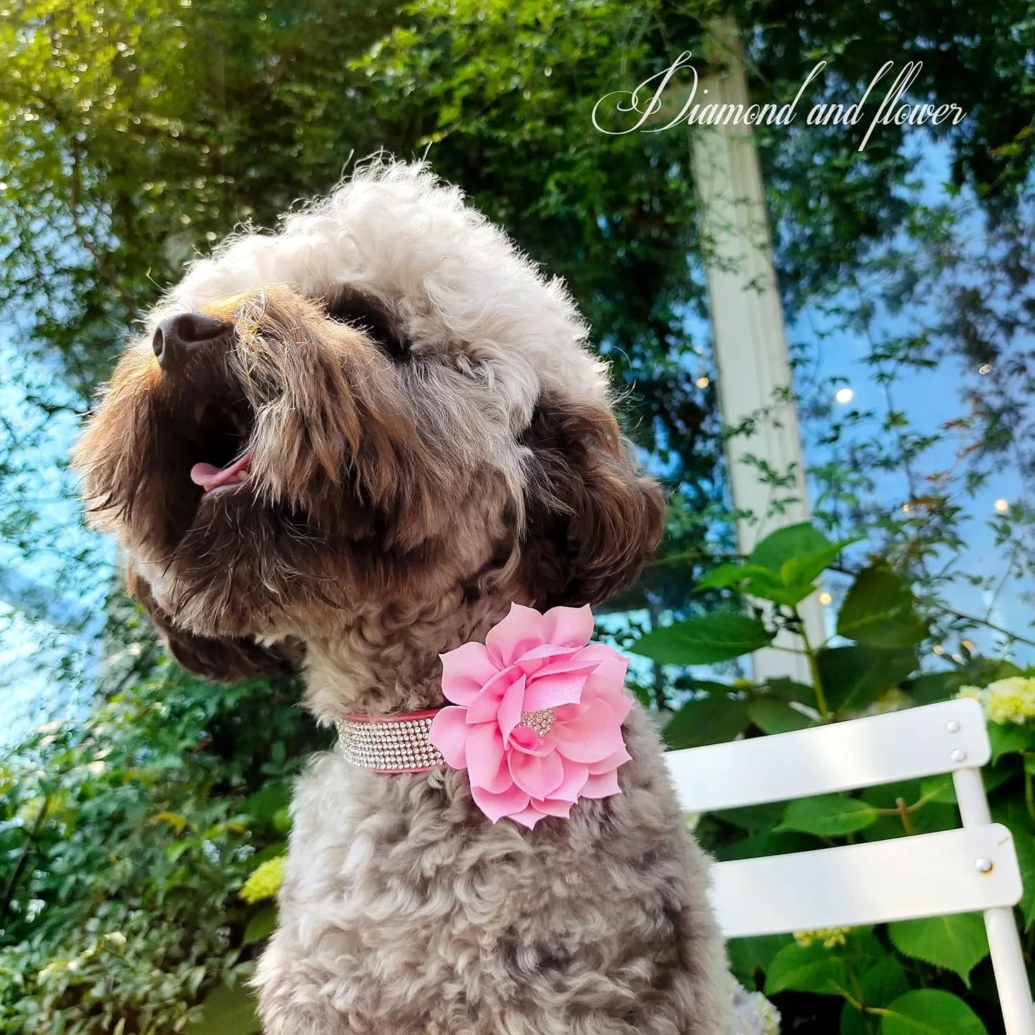 PET ARTIST Rhinestone Dog Collar and Leash Set, Sparkling Girl Dog Collars with Bling Diamonds, Soft Leather Pink Pet Collar with Cute Flower for Small Puppy Dogs Walking Party Wedding,S