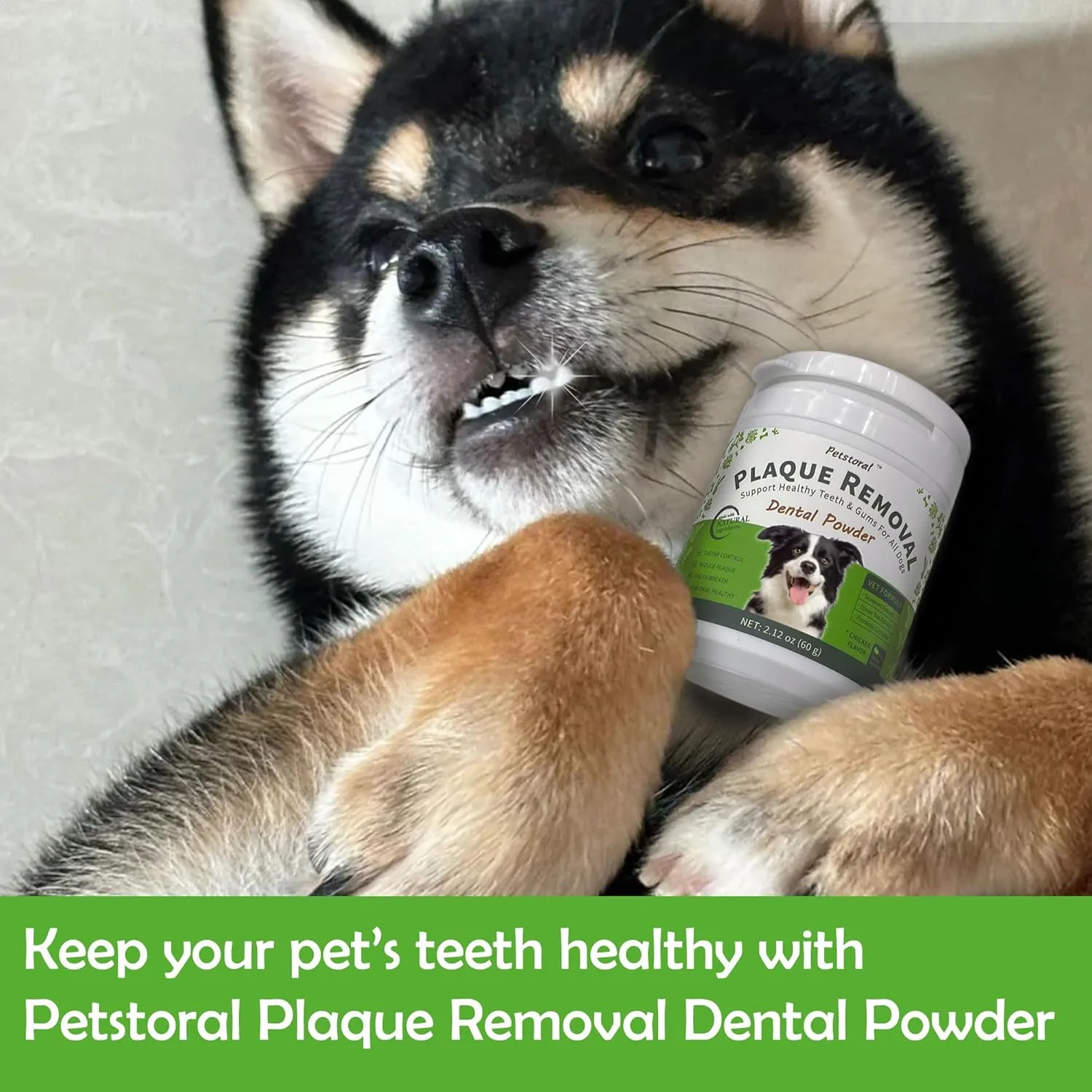 Plaque Removal Natural Dental Powder - Dog Dental Care and Bad Breath Treatment, Healthy Teeth & Gums for All Dogs, Chicken & Egg Yolk Flavor Dog Teeth Cleaning Powder - 2.12 oz