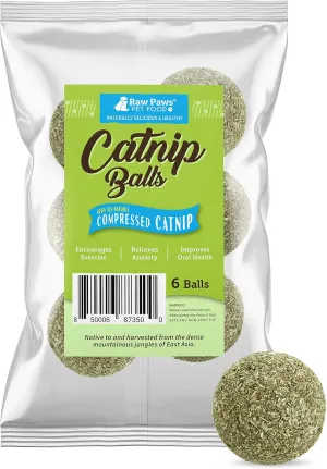 Raw Paws Catnip Balls for Cats, 6 (Pack) - Interactive Cat Toy for Indoor Cats - Cat Nip Licking Balls
