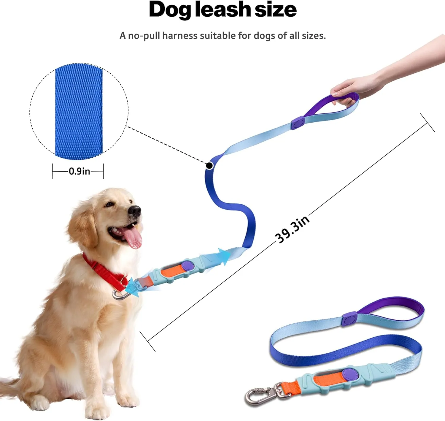 Shock Absorbing Dog Leash, Bungee Dog Leash with Swivel Lockable Hook & Padded Handle, No-Pull Lead for All Dog Sizes - Enhances Safety & Comfort for Outdoor Walks (Blue, Curve Strap)