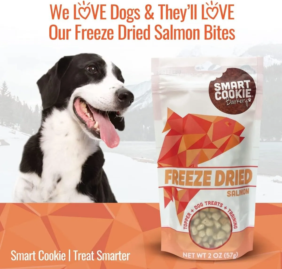 Smart Cookie Freeze Dried Salmon Bites - Single Ingredient Freeze Dried Treats for Dogs - Wild Caught Alaskan Salmon Dog Training Treats & Dog Food Topper - Made in USA - 2oz Bag, 1 Pack