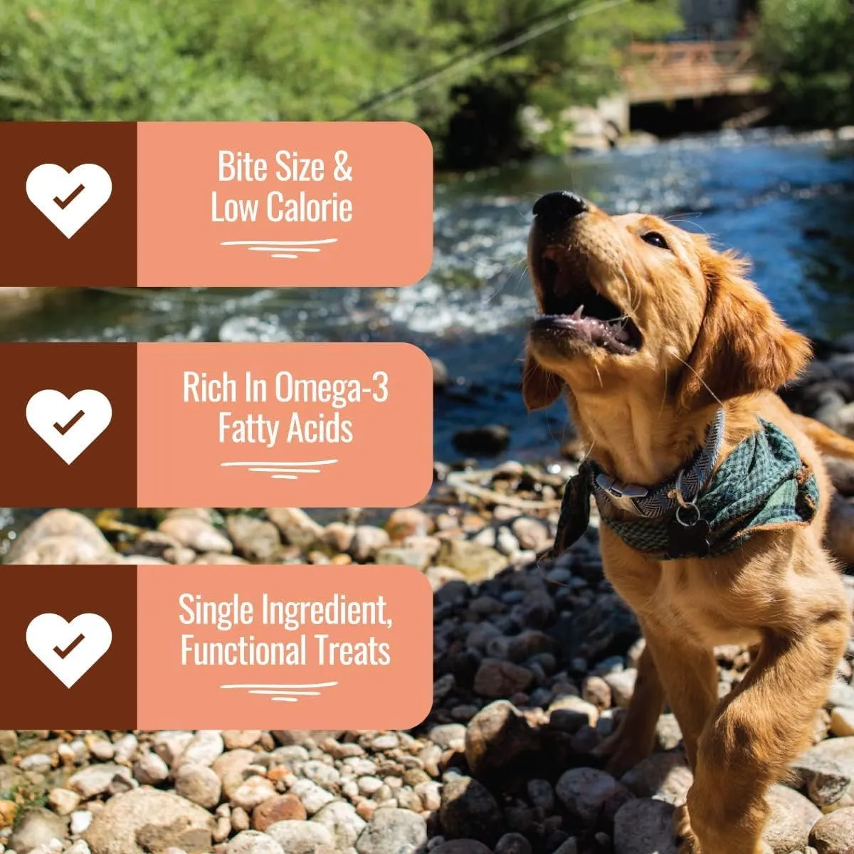 Smart Cookie Freeze Dried Salmon Bites - Single Ingredient Freeze Dried Treats for Dogs - Wild Caught Alaskan Salmon Dog Training Treats & Dog Food Topper - Made in USA - 2oz Bag, 1 Pack