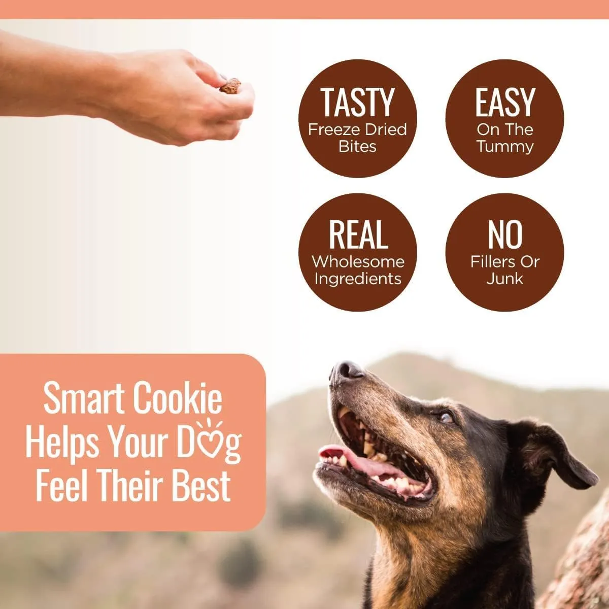 Smart Cookie Freeze Dried Salmon Bites - Single Ingredient Freeze Dried Treats for Dogs - Wild Caught Alaskan Salmon Dog Training Treats & Dog Food Topper - Made in USA - 2oz Bag, 1 Pack