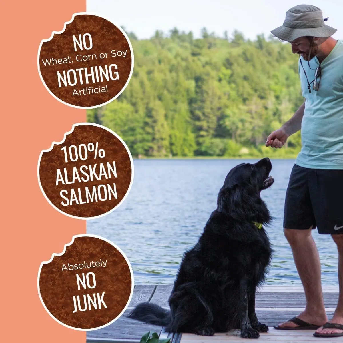 Smart Cookie Freeze Dried Salmon Bites - Single Ingredient Freeze Dried Treats for Dogs - Wild Caught Alaskan Salmon Dog Training Treats & Dog Food Topper - Made in USA - 2oz Bag, 1 Pack