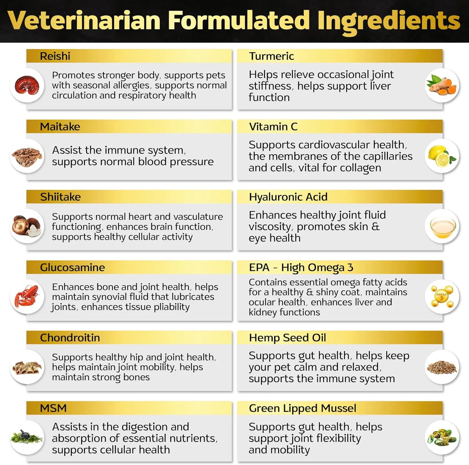 Soft Chews Hip and Joint Supplement for Dogs - Dog Joint Pain Relief Treats - Glucosamine, Chondroitin, Turmeric- Mobility Supplement