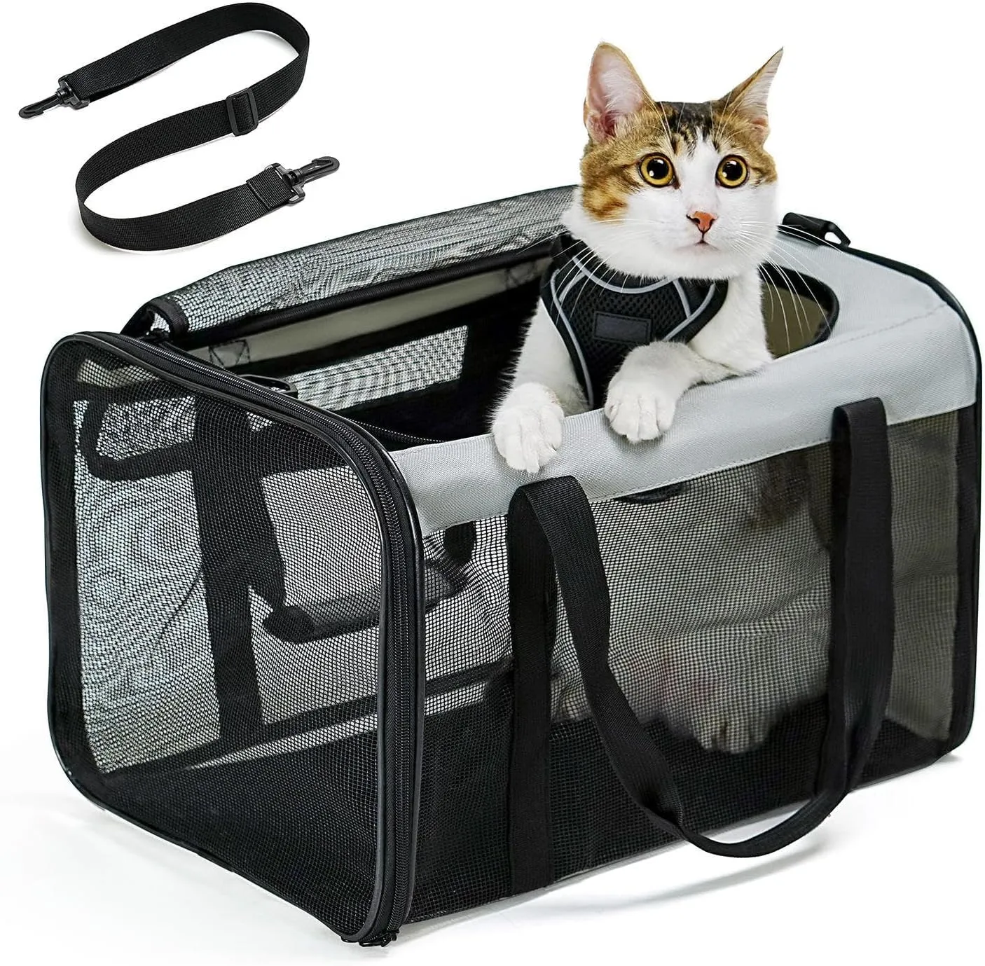 Soft-Sided Cat Carrier for Small-Medium Cats, Puppies up to 15 Lb, Airline Approved