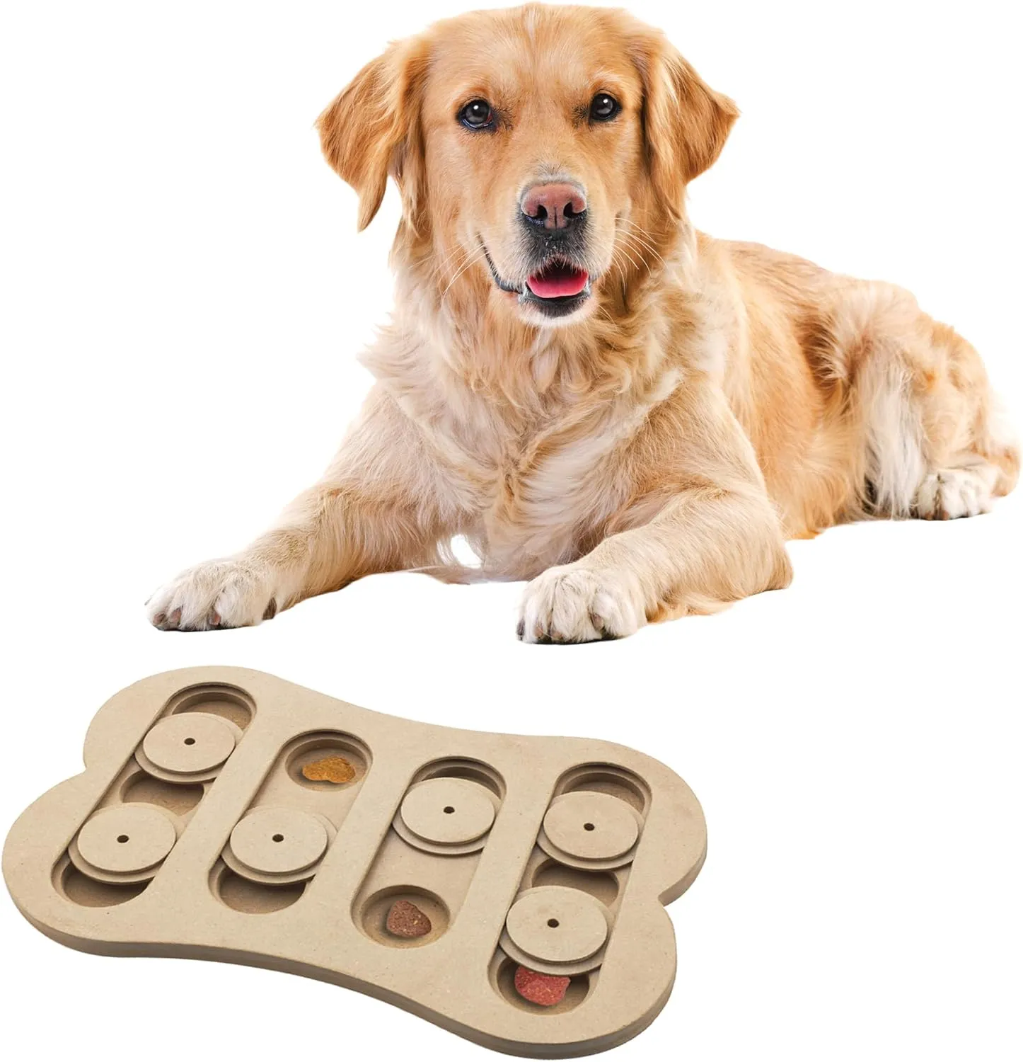 SPOT Ethical Pet Interactive Seek-A-Treat Shuffle Bone Toy Puzzle That Will Improve Your Dog's IQ, Specially Designed for Training Treats
