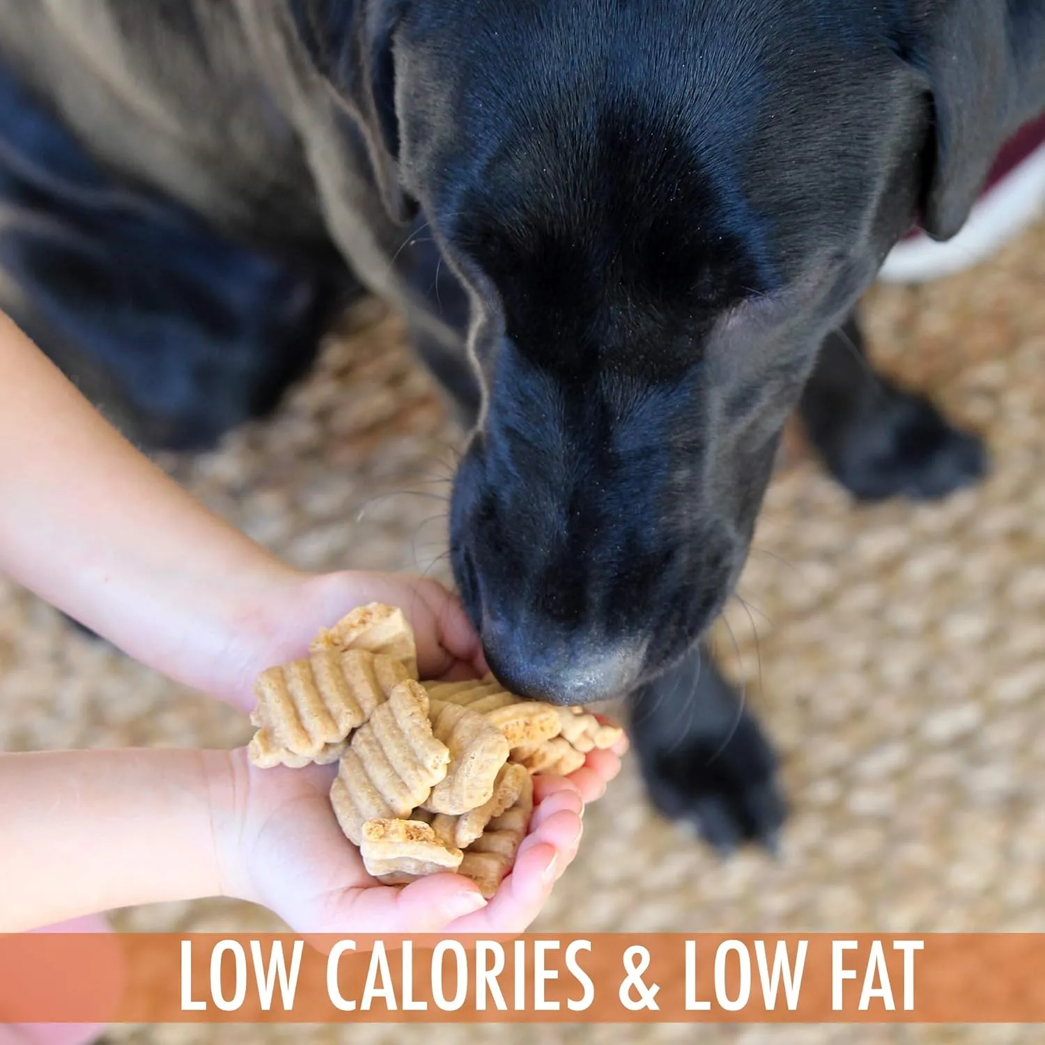 Sweet Potato & Chicken Treats for Dogs 12 oz. (Low Calorie, Low Fat Alternative to Traditional Dog Biscuits, Cookies, and Bones) Healthy Dog Treats Perfect for Training