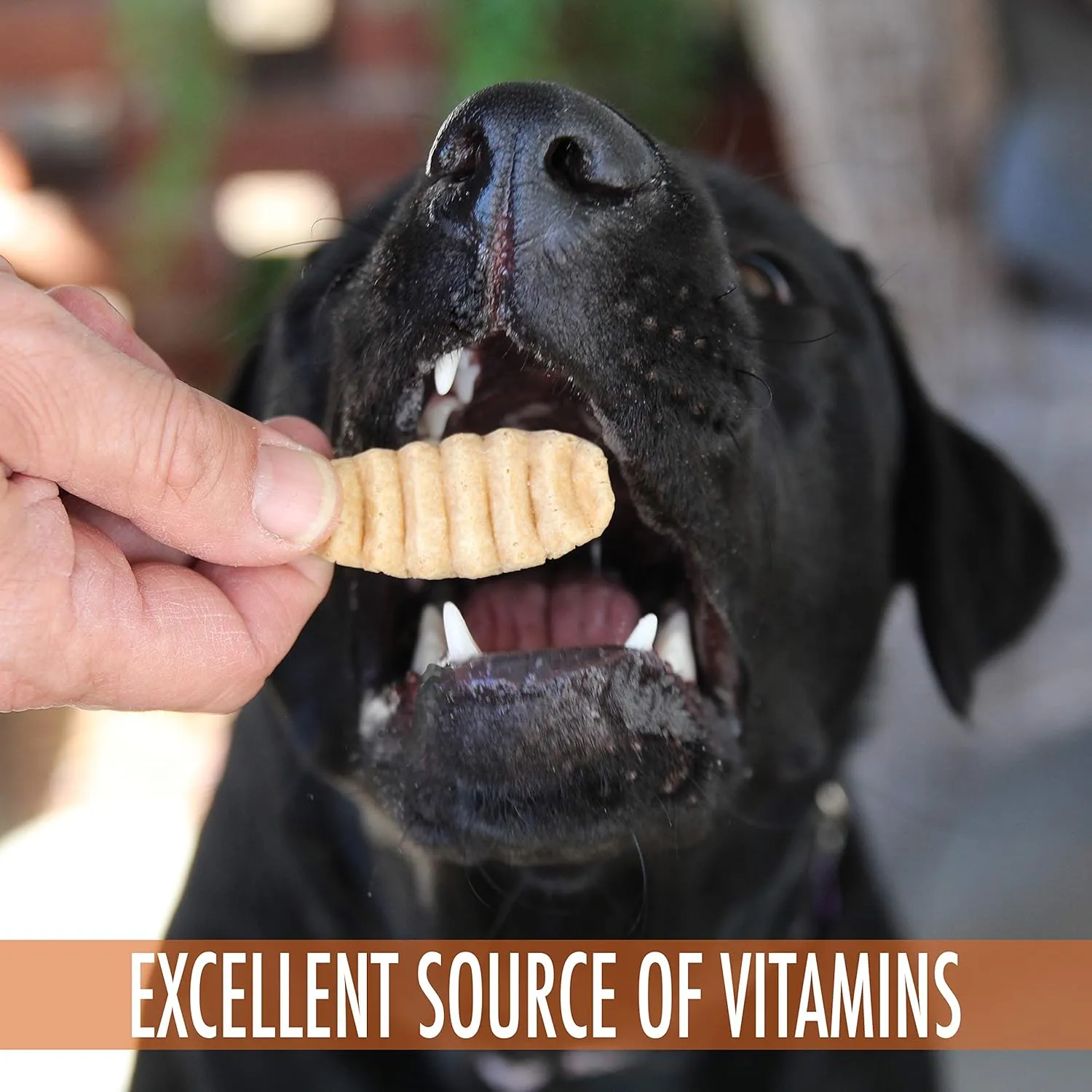 Sweet Potato & Chicken Treats for Dogs 12 oz. (Low Calorie, Low Fat Alternative to Traditional Dog Biscuits, Cookies, and Bones) Healthy Dog Treats Perfect for Training