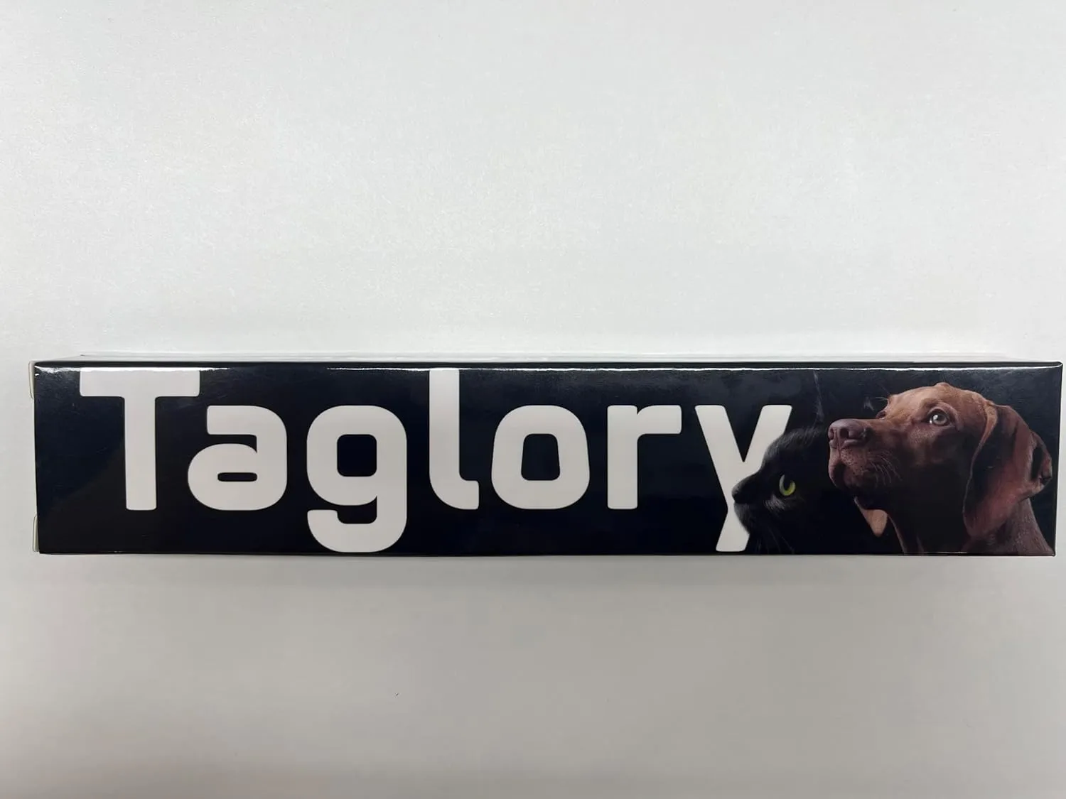 Taglory Reflective Dog Collar with Safety Locking Buckle, Adjustable Nylon Pet Collars for Small Dogs Female Male, S, Green