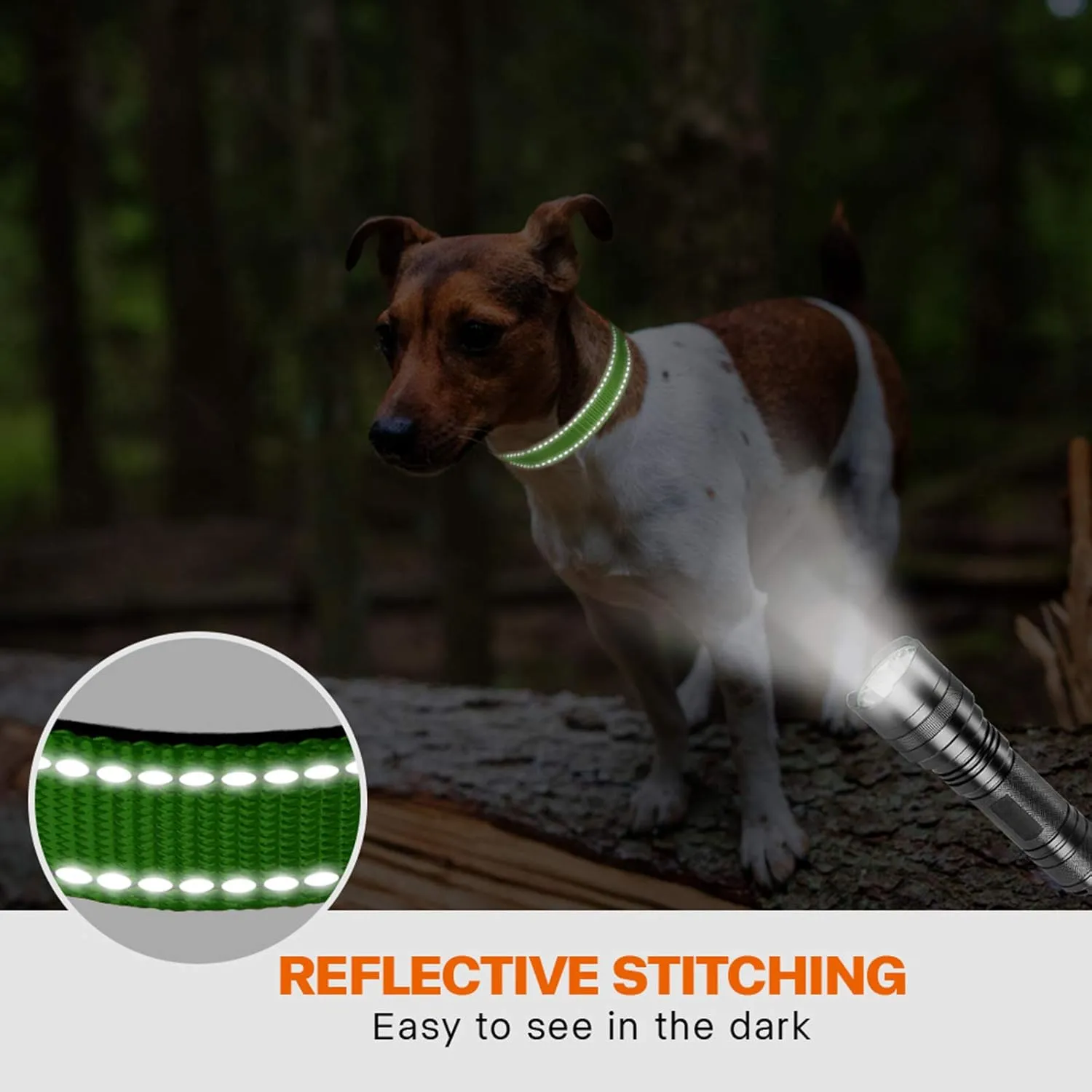 Taglory Reflective Dog Collar with Safety Locking Buckle, Adjustable Nylon Pet Collars for Small Dogs Female Male, S, Green