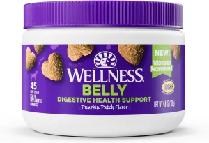 Wellness Pumpkin Patch Flavored Soft Chew Digestive Health Supplements for Dogs, 45 Count
