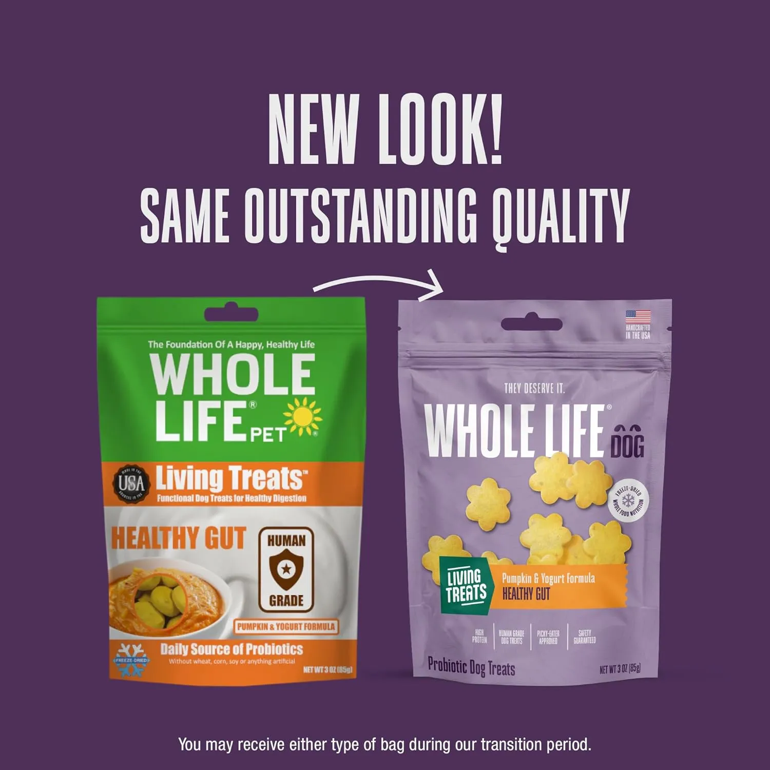 Whole Life Dog Living Treats for Dogs  Human Grade Probiotics for Digestive & Gut Health, Canine Gas, Diarrhea, Vomit & Constipation Relief - Pumpkin, 3 oz (Pack of 1)