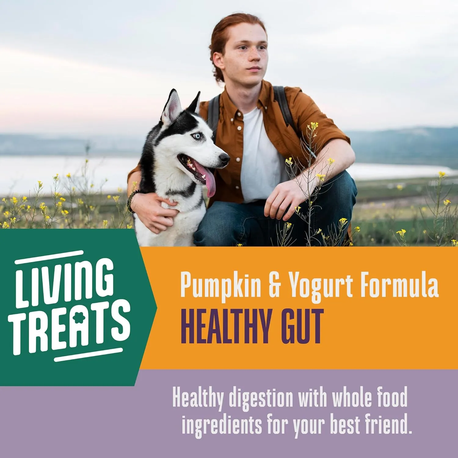 Whole Life Dog Living Treats for Dogs  Human Grade Probiotics for Digestive & Gut Health, Canine Gas, Diarrhea, Vomit & Constipation Relief - Pumpkin, 3 oz (Pack of 1)